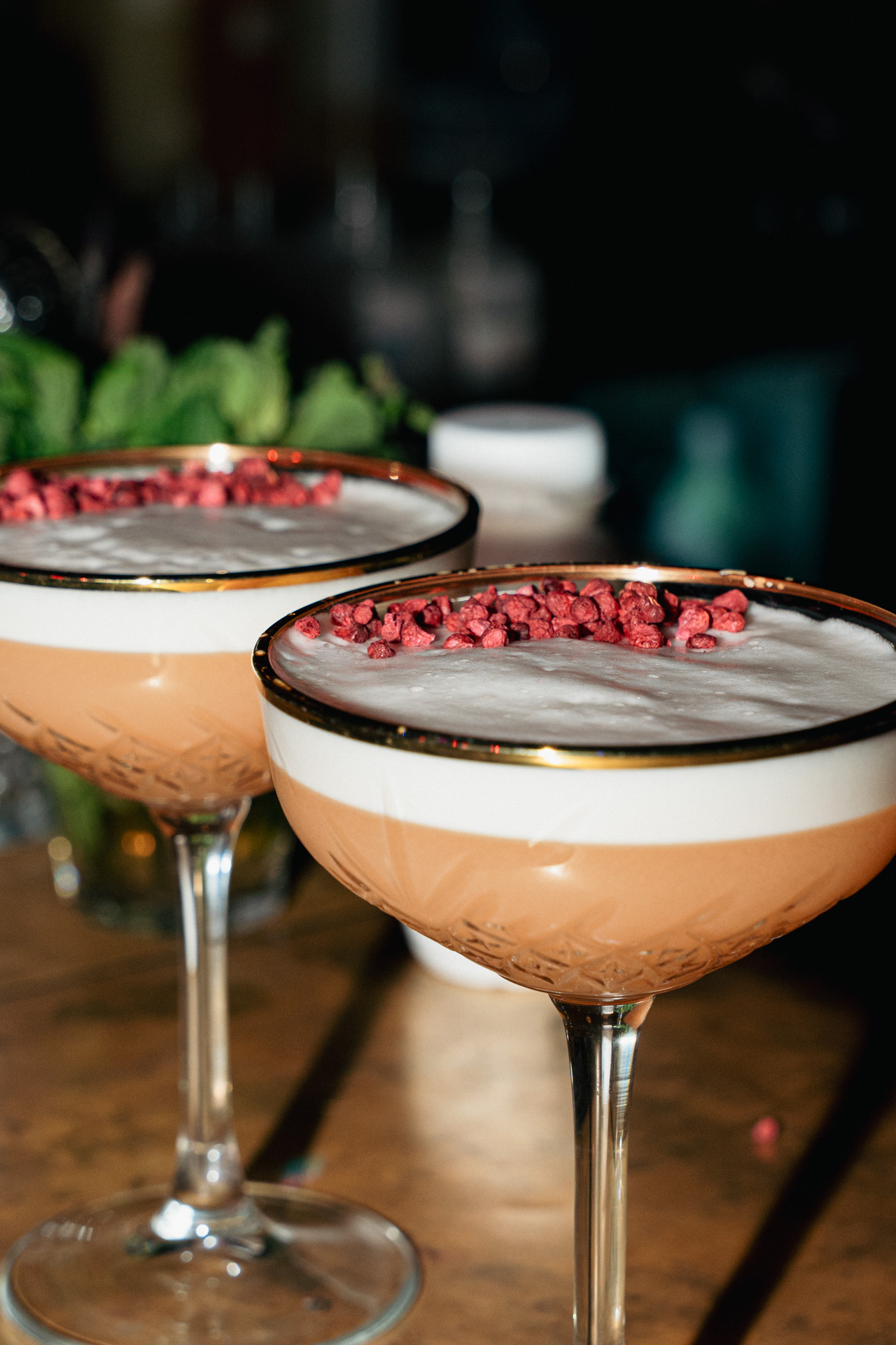 A foamy coupe under the bar lights.